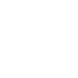 Stoix Logo